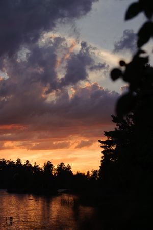 AlexMessenger Early Summer Sunset2566.jpg
